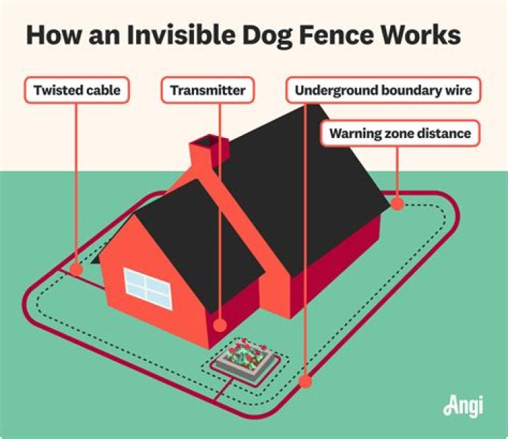 How does invisible fence for dogs work?