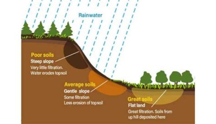 How does time affect the soil formation?