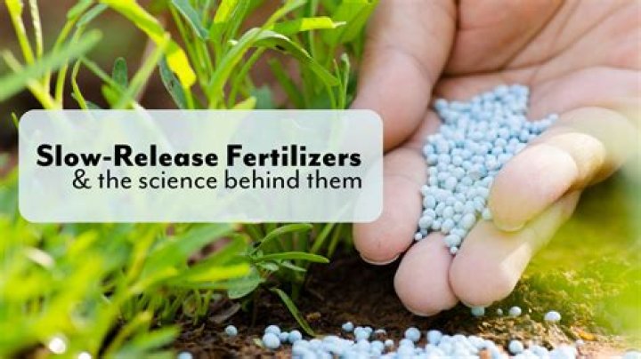 How fast does slow release fertilizer work?