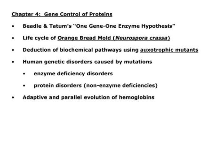 How has the one gene one enzyme hypothesis been modified?