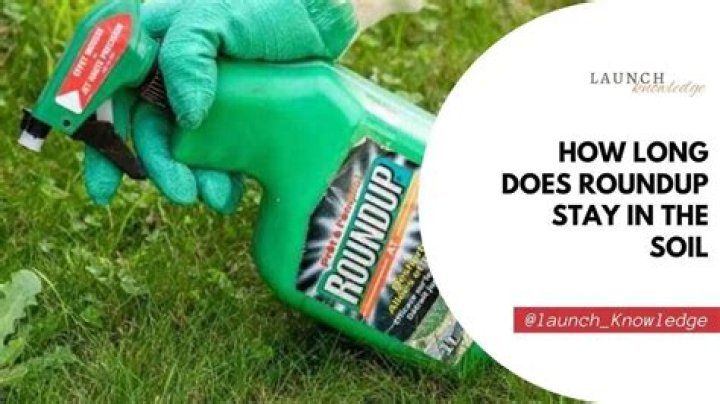 How long can Roundup be stored?