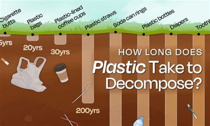 How long do dog poop bags take to decompose?