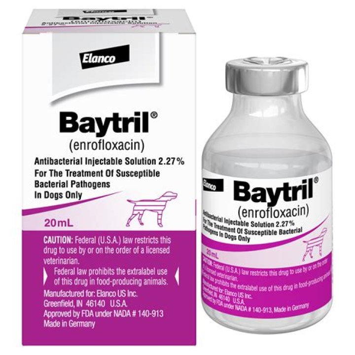 How long does Baytril injection take to work?