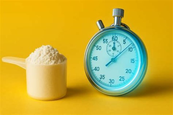 How long does casein stay in your system?