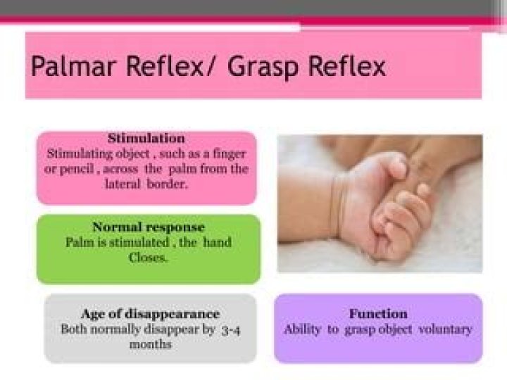 How long does grasp reflex last?