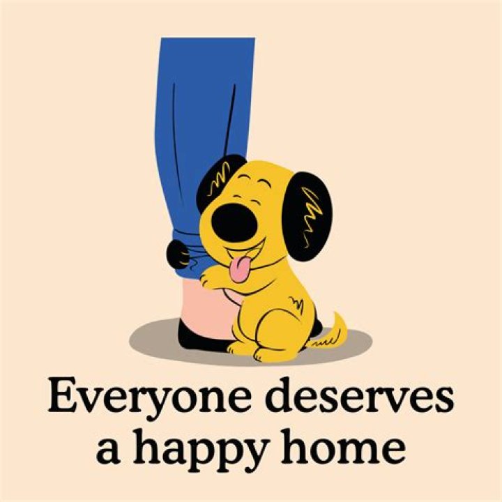 How long does it take for a new puppy to settle in?