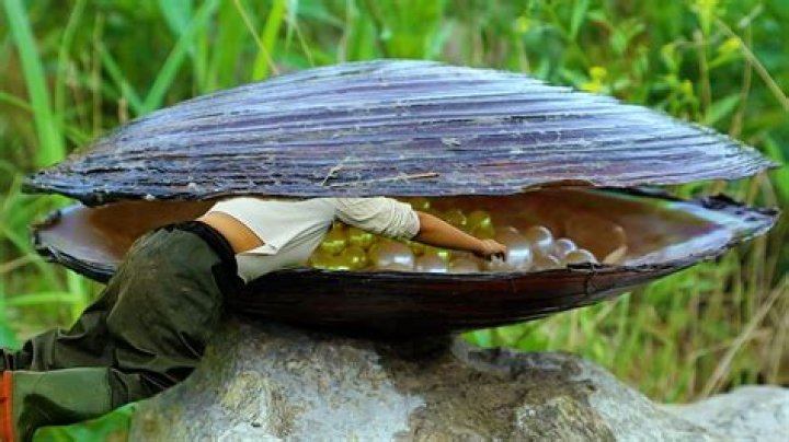 How long does it take to form pearls?