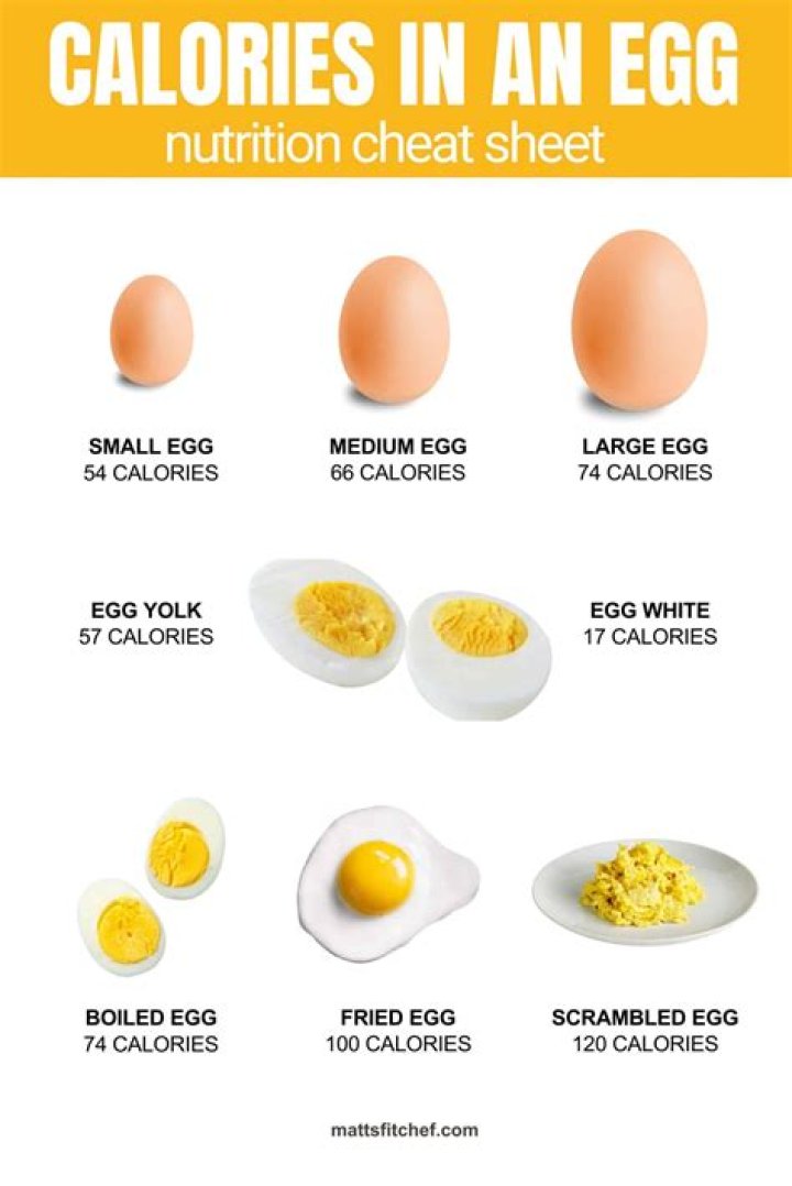 How many calories are in nepro?