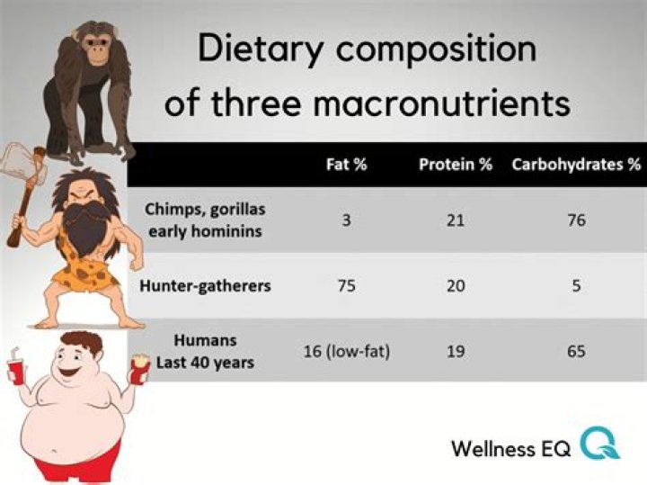 How many calories did our ancestors eat?