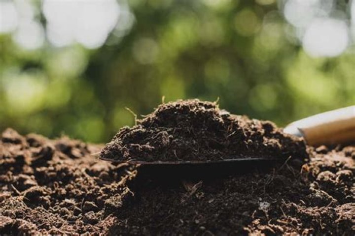 How much does a yard of loam cost?