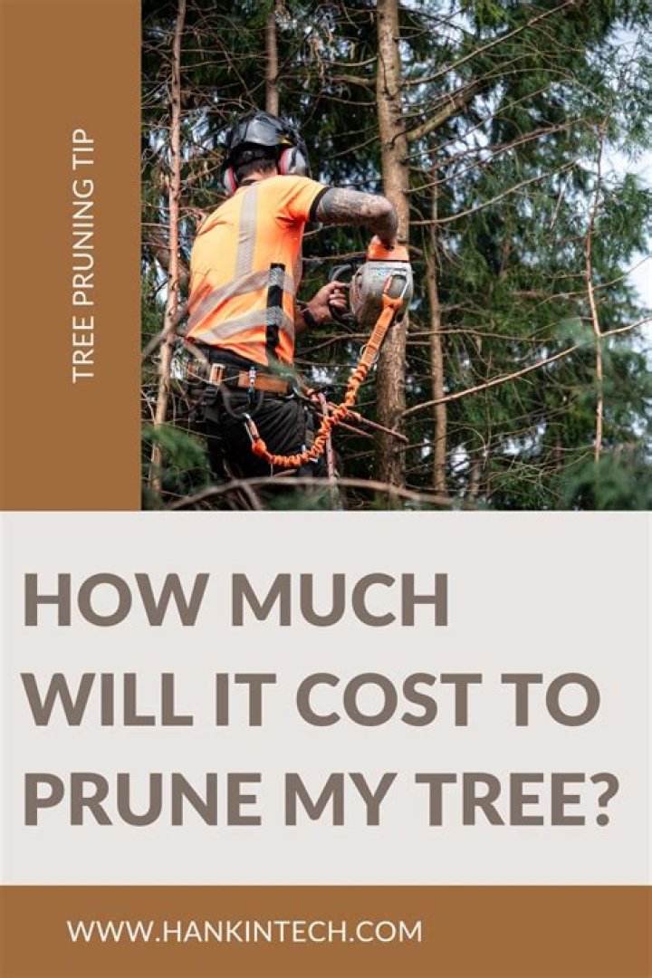 How much does it cost to cut a tree down UK?