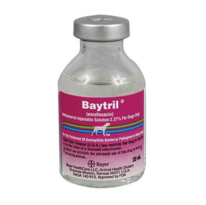 How much injectable Baytril can I give my dog?