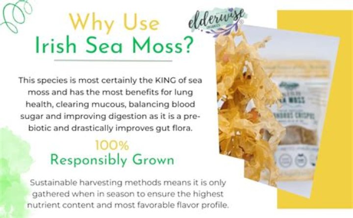 How much is Irish moss per gallon?