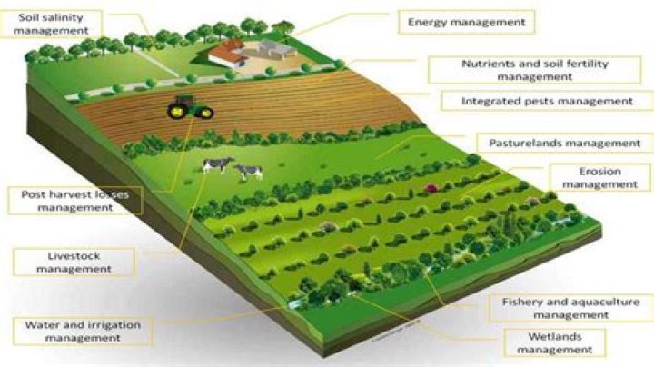 How much land is suitable for agriculture?
