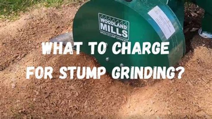 How much should I charge for rocks?