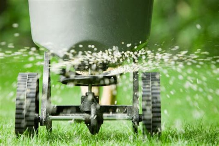 How soon can you fertilize new grass?