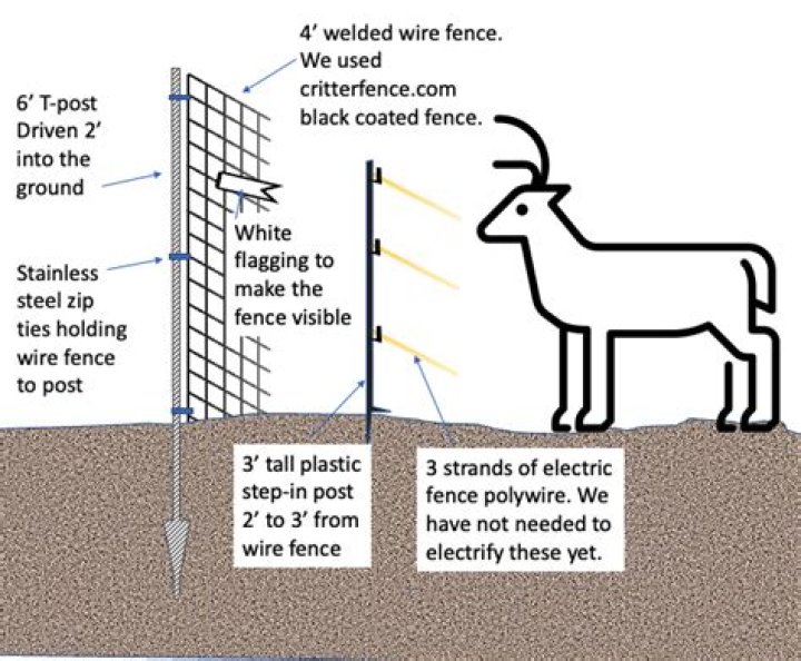 How tall does a deer fence need to be?