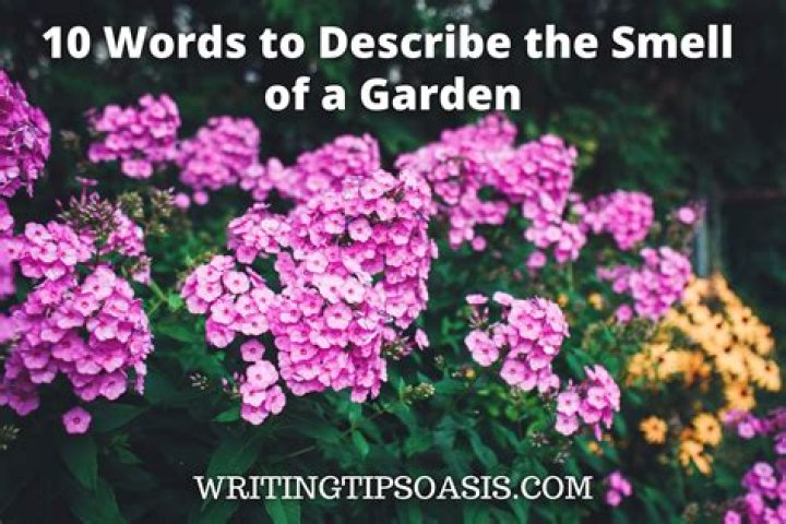 How would you describe the smell of spring?