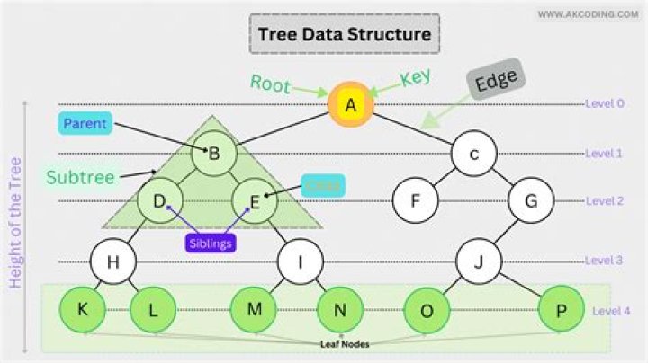 Is a struct a data structure?