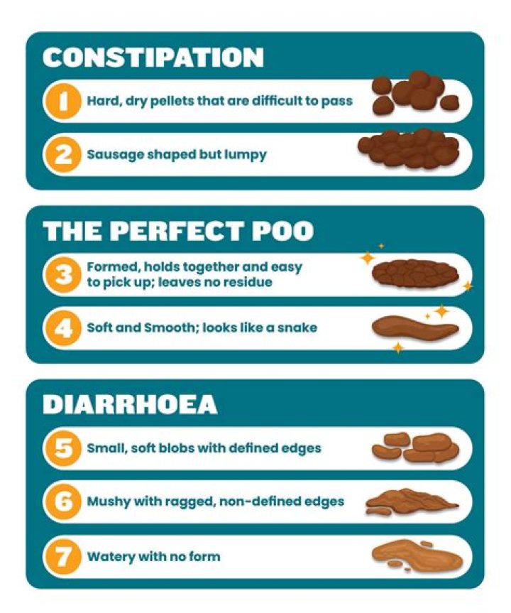 Is cat poop bad for my garden?
