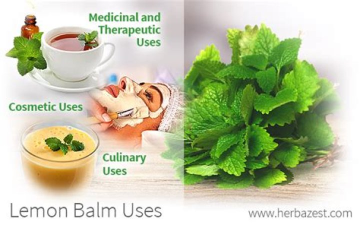 Is lemon balm a stimulant?