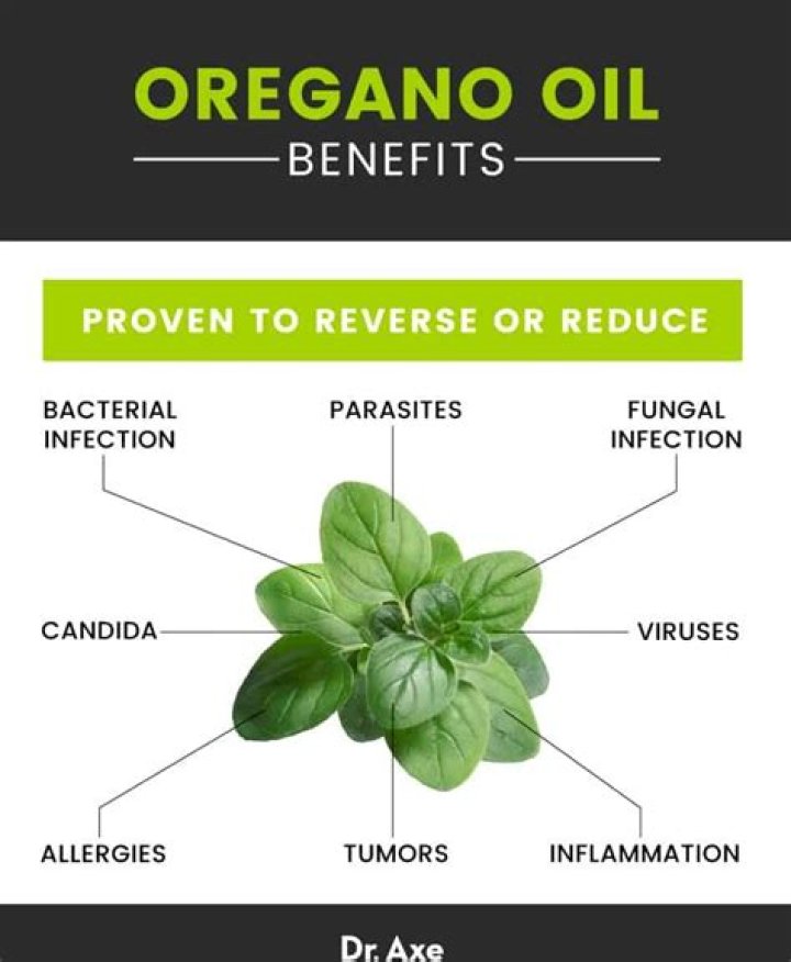 Is Oil of Oregano good for you?