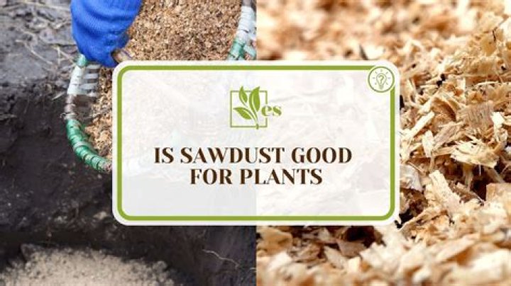 Is pine sawdust good for the garden?