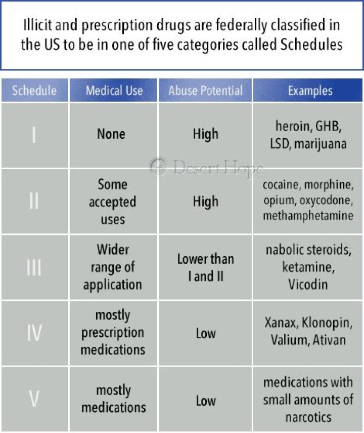 Is possession of a Schedule 1 drug a felony?