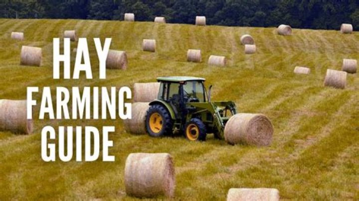 Is prairie hay good for cows?