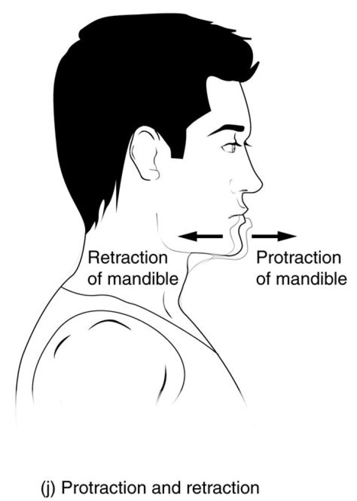 Is protraction the same as abduction?