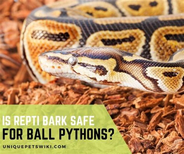 Is repti bark safe?