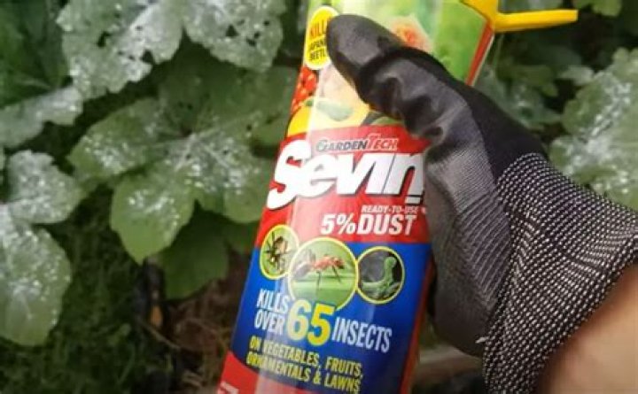 Is Sevin dust safe for gardens?