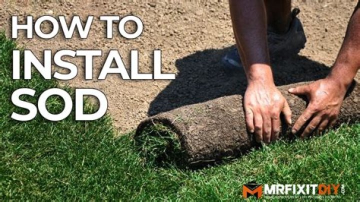 Is Sod hard to install?