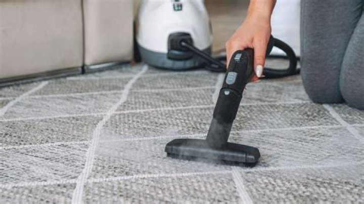 Is steam mop good for carpets?
