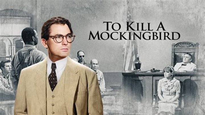 What's How Do You Kill a Mockingbird about?