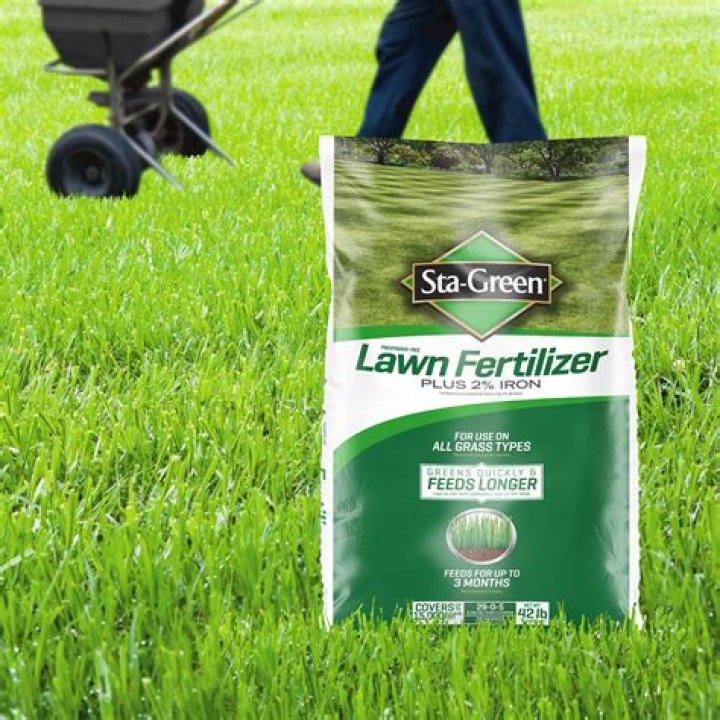 What's the best lawn fertilizer for summer?