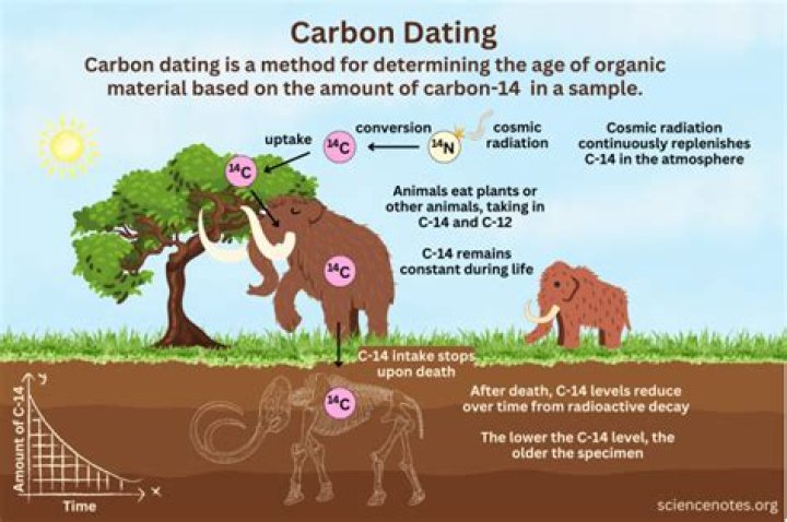 What's the difference between carbon dating and stratigraphic dating?