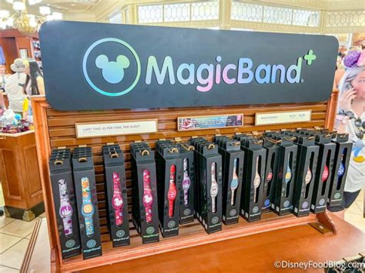 What are magic bands at Walt Disney World?