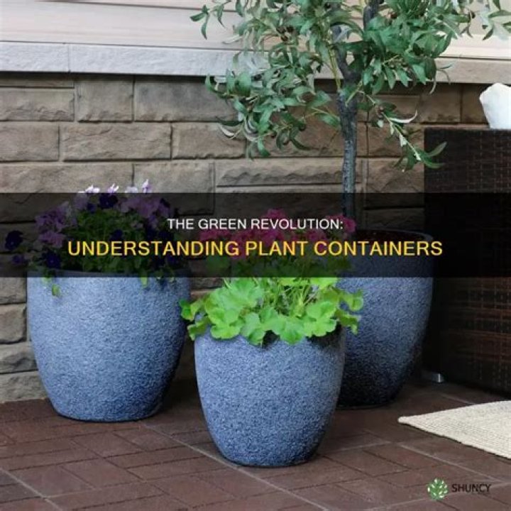 What are plant containers called?