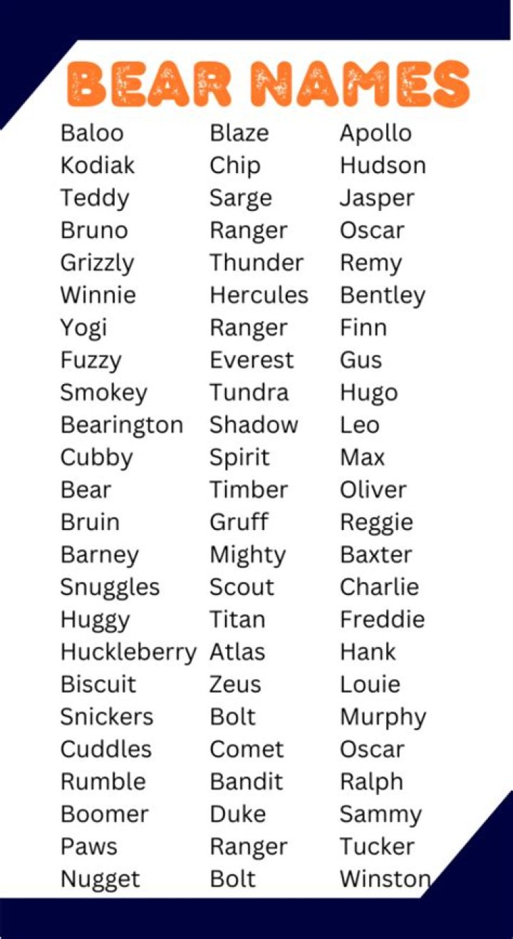 What are some cute bear names?