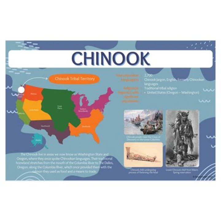 What are some facts about the Chinook tribe?