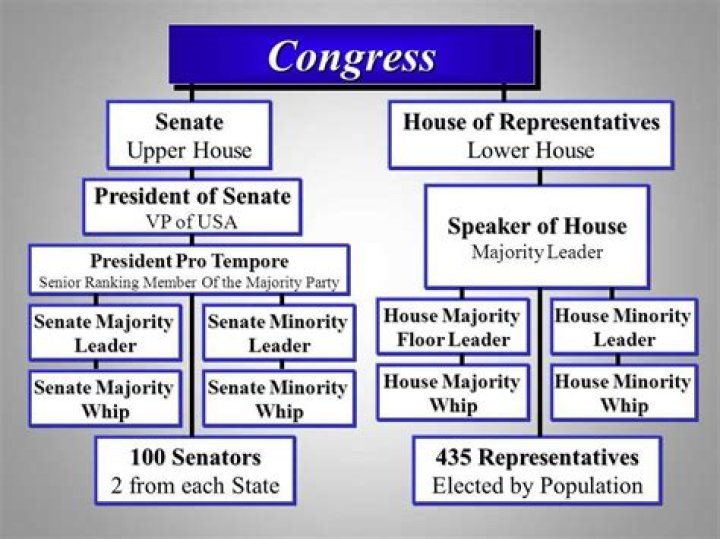 What are some of Congress other powers?