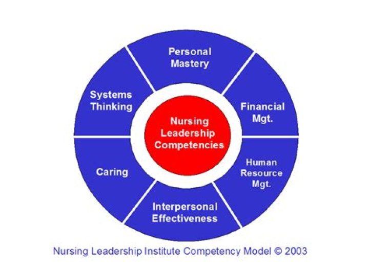 What are the competencies nurses need for safe practice?