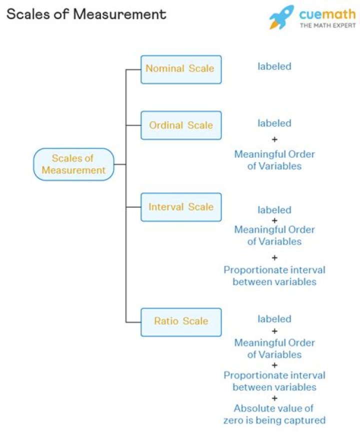 What are the different scales of measurement?