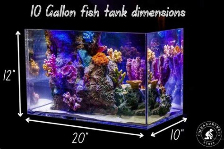 What are the dimensions for a 10 gallon tank?