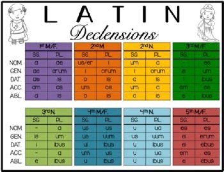 What are the five Latin declensions?