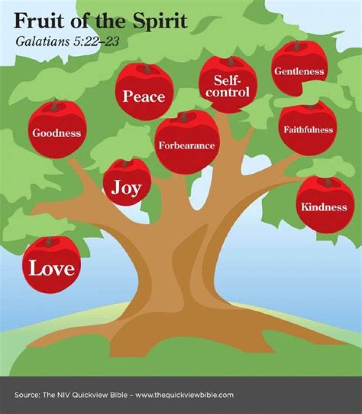 What are the fruits of the Spirit NIV?