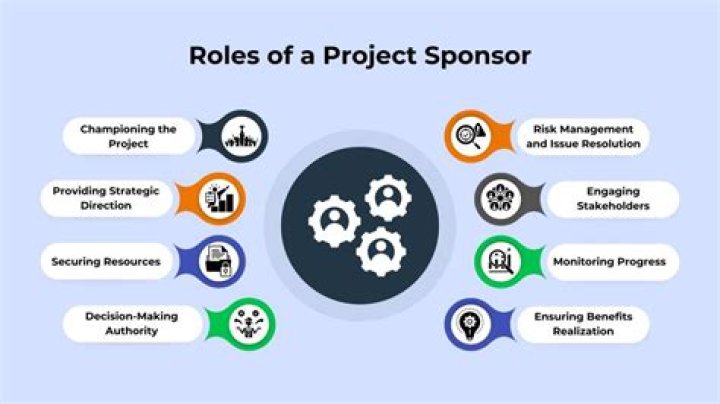 What are the roles of the project sponsor?
