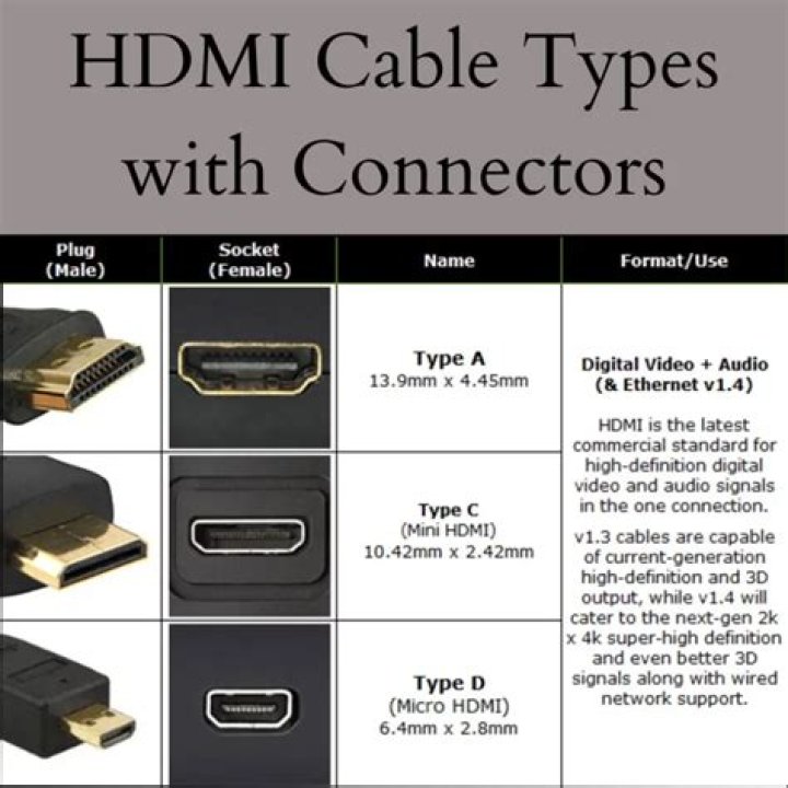 What are the two types of HDMI connectors?