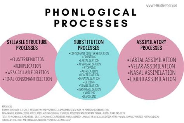 What are the types of assimilation in phonology?